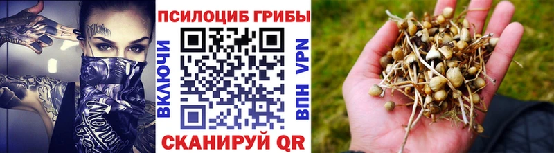 Галлюциногенные грибы ЛСД  где продают   Орехово-Зуево 